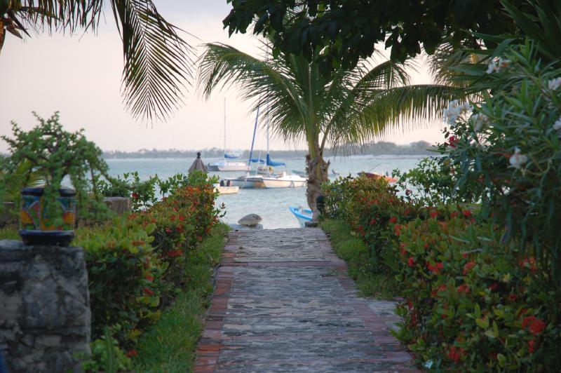 View from Casita and Patio