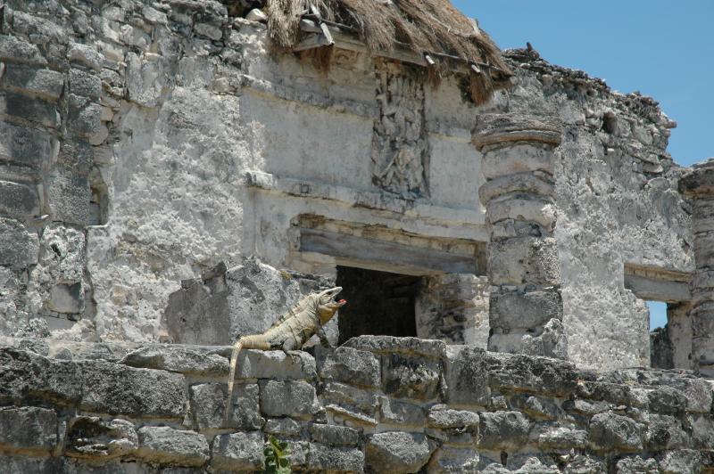 Igor Guarding Temple
