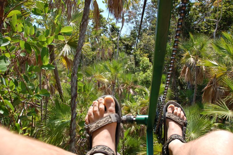 SkyCycle: David's view