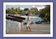 Morning Cannon: Marc