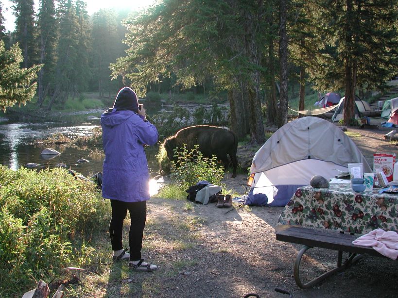 Slough Creek camp
