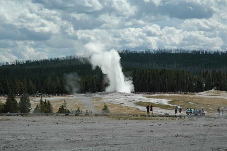Upper Geyser Basin