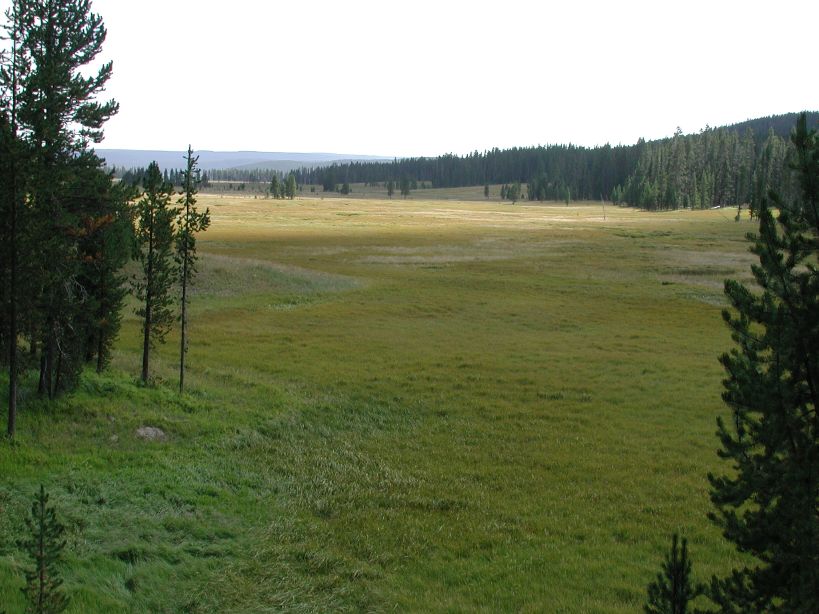 Hike to Shoshone Lake