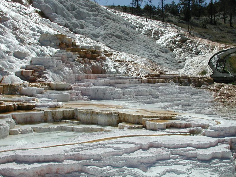Mammoth Hot Springs