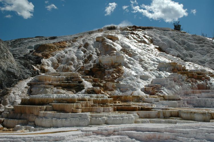 Mammoth Hot Springs