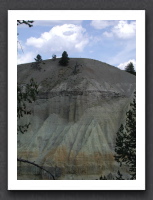 Speciment Ridge Trail