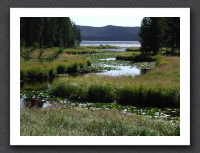 Hike to Shoshone Lake