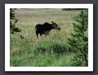 Hike to Shoshone Lake
