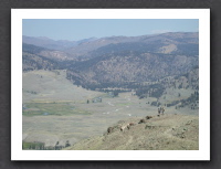 Specimen Ridge Trail